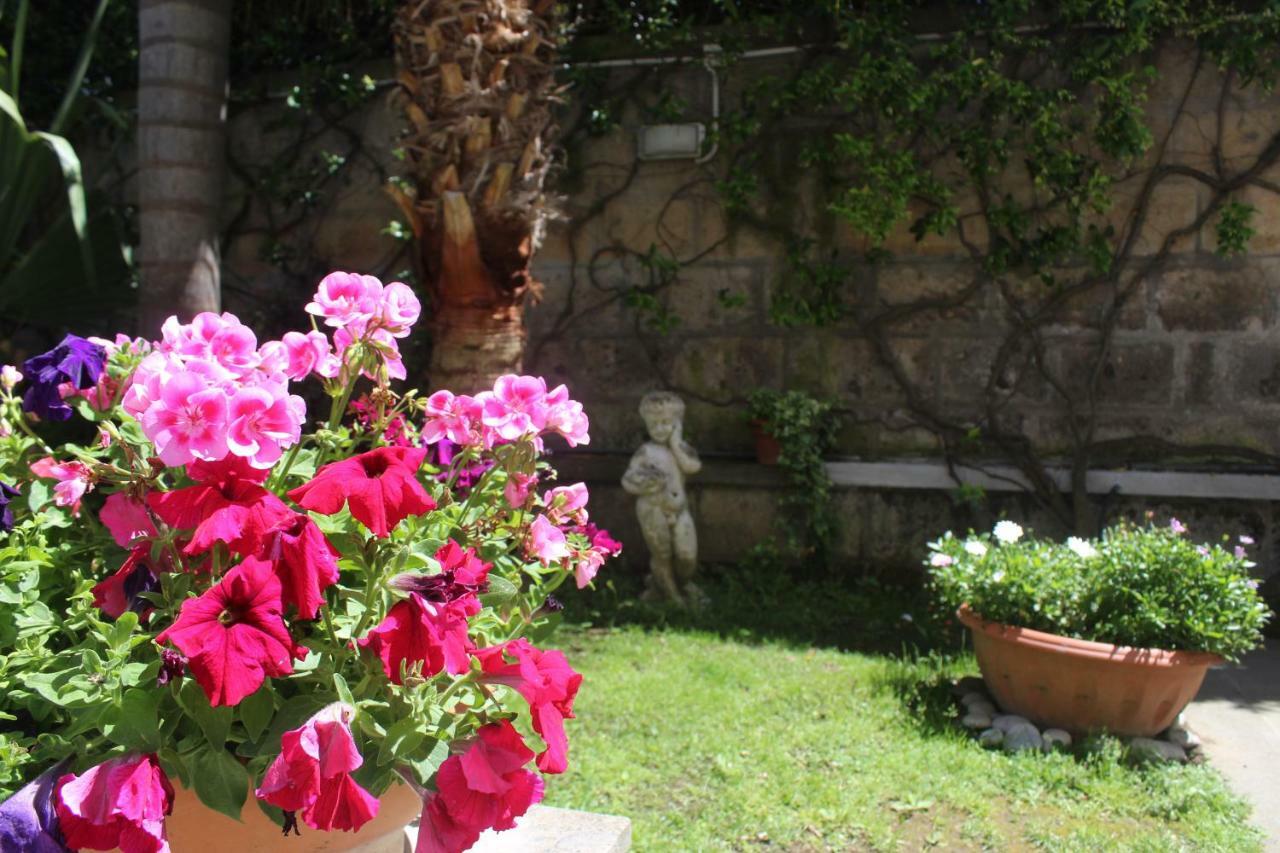 Bed and Breakfast Casa Beatrice Península Sorrentina Exterior foto
